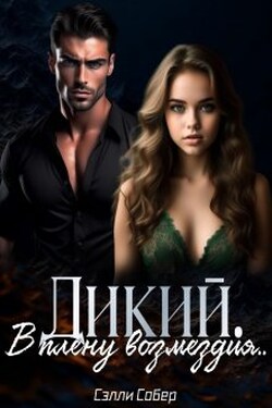 Дикий. В плену возмездия - Сэлли Собер