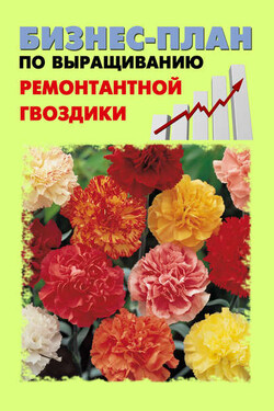 Бизнес-план по выращиванию ремонтантной гвоздики - А. С. Бруйло
