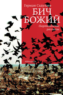 Бич Божий. Партизанские рассказы (сборник) - Герман Садулаев