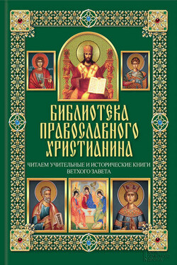 Читаем Учительные и Исторические книги Ветхого Завета - Павел Евгеньевич Михалицын