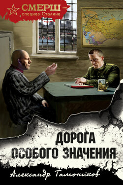 Дорога особого значения - Александр Тамоников