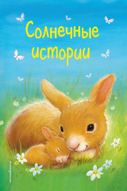 Солнечные истории - Холли Вебб