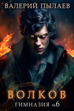 Волков. Гимназия №6 - Валерий Пылаев