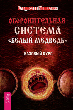Оборонительная система «Белый Медведь». Базовый курс - Владислав Мешалкин