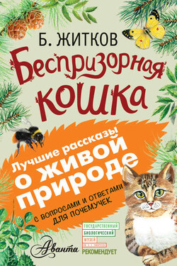 Беспризорная кошка (сборник). С вопросами и ответами для почемучек - Борис Степанович Житков