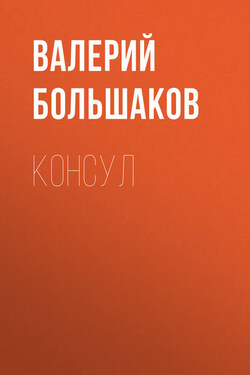 Консул - Валерий Большаков