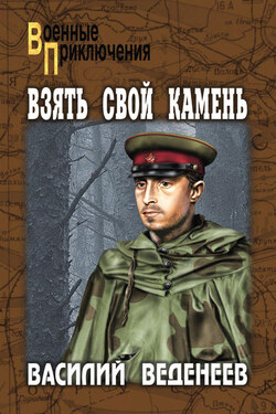 Взять свой камень - Василий Веденеев