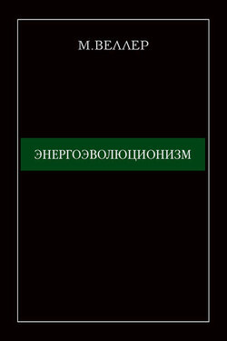 Энергоэволюционизм - Михаил Веллер