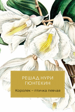 Королек – птичка певчая - Решад Гюнтекин