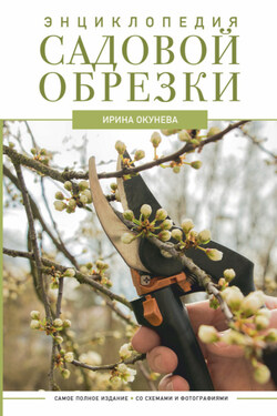 Энциклопедия садовой обрезки - Ирина Окунева