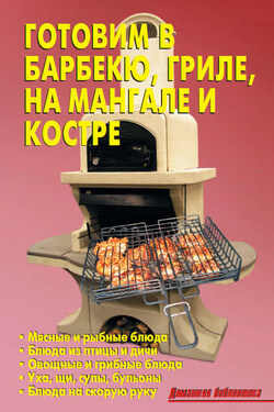 Готовим в барбекю, гриле, на мангале и костре - Р. Н. Кожемякин
