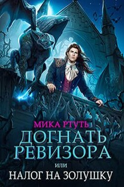 Догнать ревизора,или налог на Золушку - Мика Ртуть