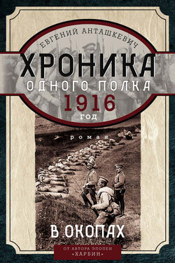 Хроника одного полка. 1916 год. В окопах - Евгений Анташкевич