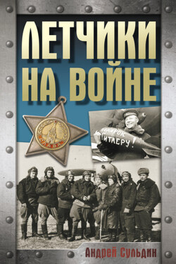 Летчики на войне - Андрей Сульдин