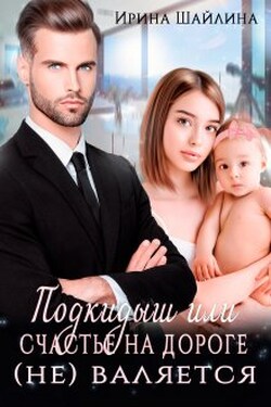 Подкидыш или счастье на дороге (не) валяется - Ирина Шайлина