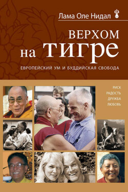 Верхом на тигре. Европейский ум и буддийская свобода - Оле Нидал