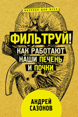 Фильтруй! Как работают наши печень и почки - Андрей Сазонов