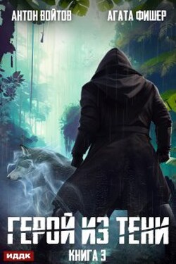 Герой из тени. Книга 3 - ИДДК