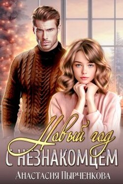 Новый год с незнакомцем - Анастасия Пырченкова