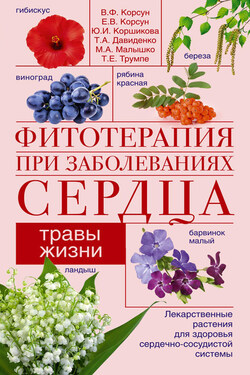 Фитотерапия при заболеваниях сердца. Травы жизни - Елена Владимировна Корсун
