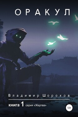 Оракул. Книга 1 - Владимир Шорохов