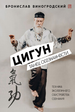 Цигун. Танец осознанности - Бронислав Виногродский