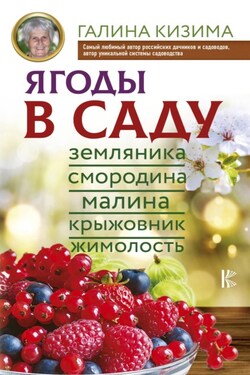 Ягоды в саду. Земляника, смородина, малина, крыжовник, жимолость - Галина Александровна Кизима