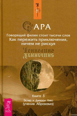 Сара. Книга 3. Говорящий филин стоит тысячи слов. Как пережить приключения, ничем не рискуя - Джерри Хикс