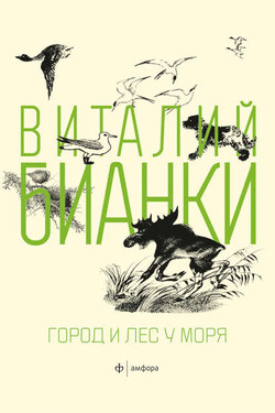 Город и лес у моря (сборник) - Виталий Бианки
