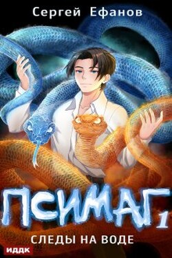 Псимаг. Книга 1. Следы на воде - ИДДК