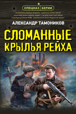 Сломанные крылья рейха - Александр Тамоников