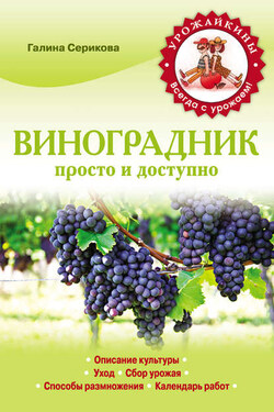 Виноградник. Просто и доступно - Галина Серикова