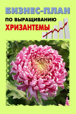 Бизнес-план по выращиванию хризантемы - А. С. Бруйло