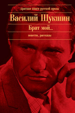 Ваш сын и брат - Василий Шукшин