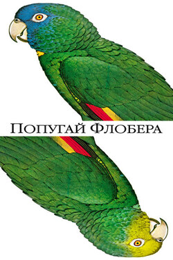 Попугай Флобера - Джулиан Барнс