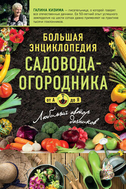 Большая энциклопедия садовода-огородник от А до Я - Галина Кизима