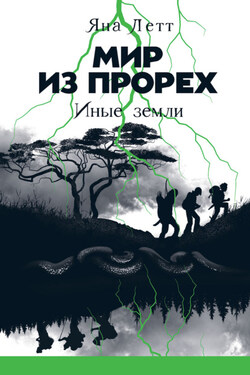 Мир из прорех. Иные земли - Яна Летт