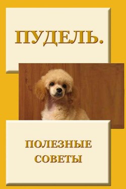 Пудель. Полезные советы - Илья Мельников