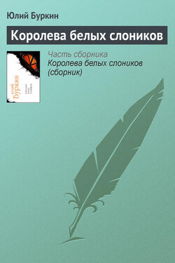 Королева белых слоников - Юлий Буркин