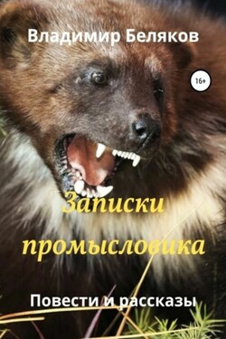 Записки промысловика. Повести и рассказы - Владимир Беляков