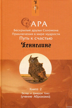 Сара. Книга 2. Бескрылые друзья Соломона. Приключения в мире мудрости. Путь к счастью - Джерри Хикс