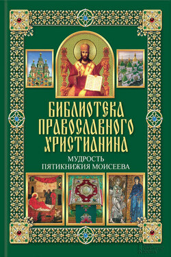 Мудрость Пятикнижия Моисеева - Павел Евгеньевич Михалицын