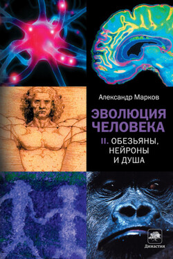 Обезьяны, нейроны и душа - Александр Марков