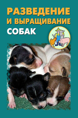 Разведение и выращивание собак - Илья Мельников