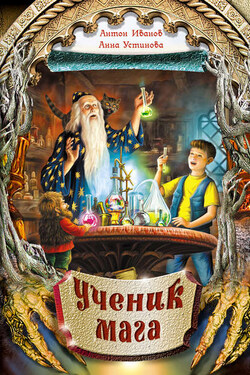 Ученик мага - Анна Вячеславовна Устинова