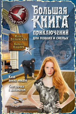 Большая книга приключений для ловких и смелых (сборник) - Илона Волынская