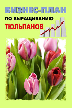 Бизнес-план по выращиванию тюльпанов - А. С. Бруйло