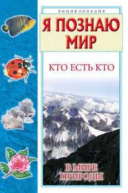 Кто есть кто в мире природы - Галина Петровна Шалаева