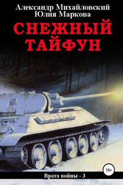 Снежный Тайфун - Александр Борисович Михайловский