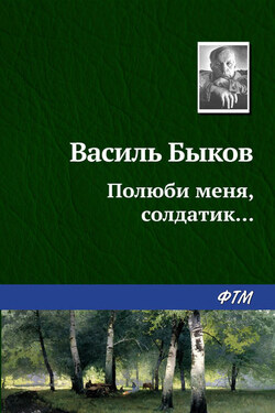Полюби меня, солдатик… - Василий Быков